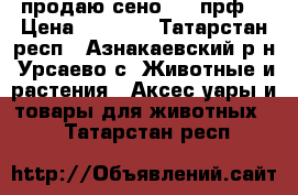 продаю сено 145-прф  › Цена ­ 1 000 - Татарстан респ., Азнакаевский р-н, Урсаево с. Животные и растения » Аксесcуары и товары для животных   . Татарстан респ.